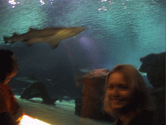 August 15, 2004 Sea World Mall of America
