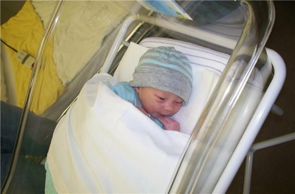 Kjelt a few hours old
