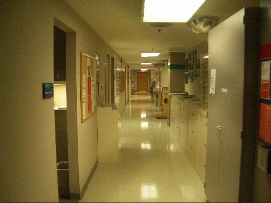 Hallway of the lab
