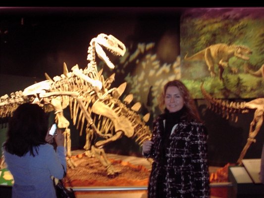 Field Musuem Chicago
