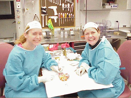 Aletta and Me
suture practice human hand
