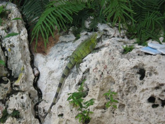 Curacao_Anke_196.jpg