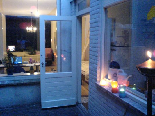 My little garden
