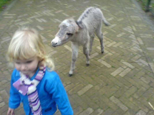 Lynn and a 6 days old donkey
