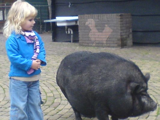 Lynn and the big pig
