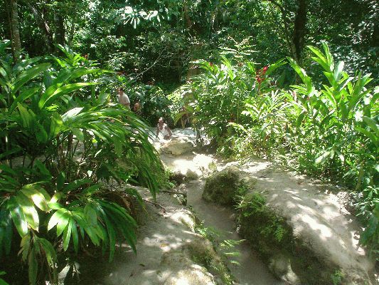 Dun's river waterfall, Ocho Rios
