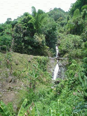 Blue Mountains
Waterfall
