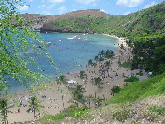 Hanauma Bay
OAHU - August 19- September 3
