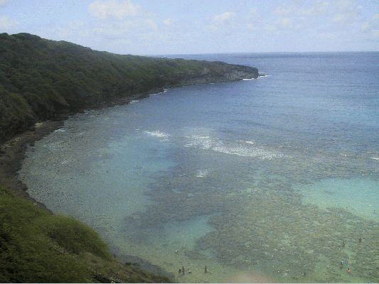 Hanauma Bay
OAHU - August 19- September 3
