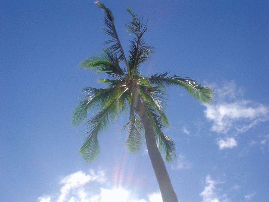 Hanauma Bay
OAHU - August 19- September 3
