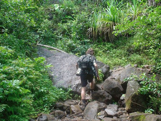 Na-Pali Coast Trail
KAWAII - August 19- September 3
