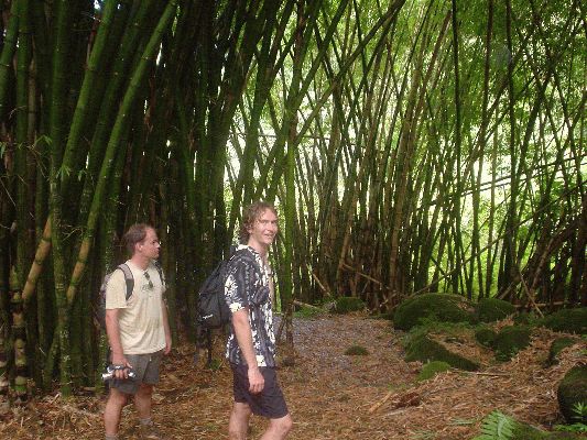 Na-Pali Coast Trail
KAWAII - August 19- September 3
