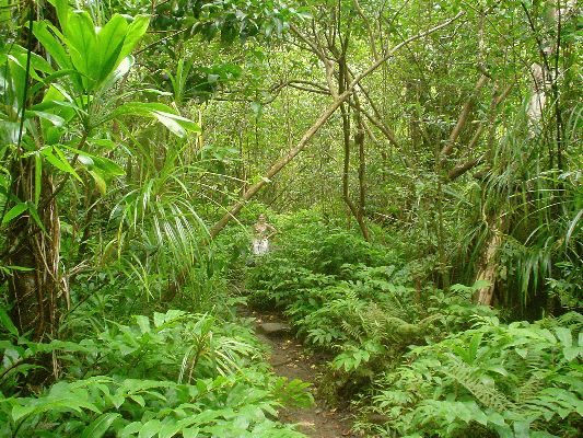 Na-Pali Coast Trail
KAWAII - August 19- September 3

