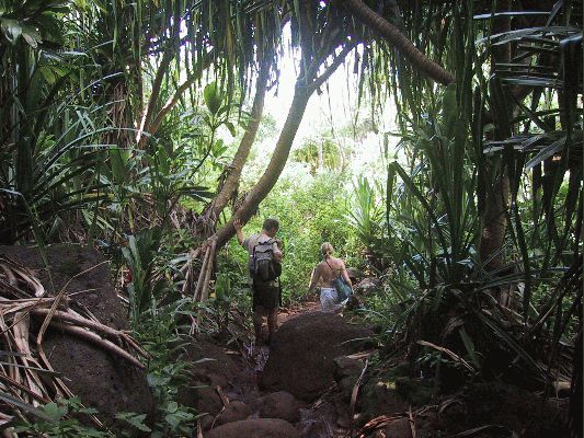 Na-Pali Coast Trail
KAWAII - August 19- September 3
