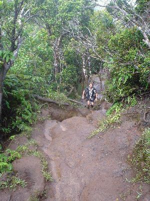 Ala Kar Swamp Trail
KAWAII - August 19- September 3
