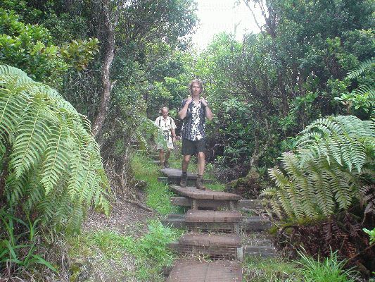 Ala Kar Swamp Trail
KAWAII - August 19- September 3
