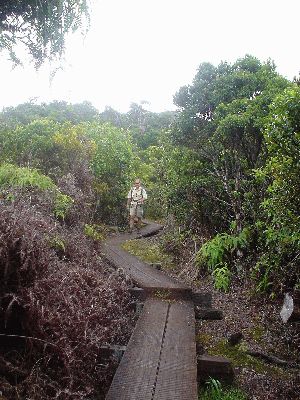 Ala Kar Swamp Trail
KAWAII - August 19- September 3
