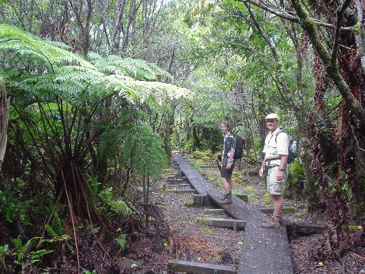 Ala Kar Swamp Trail
KAWAII - August 19- September 3
