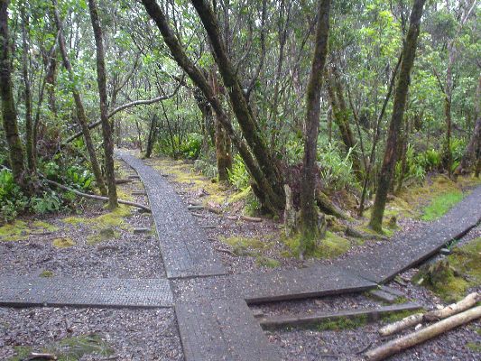 Ala Kar Swamp Trail
KAWAII - August 19- September 3

