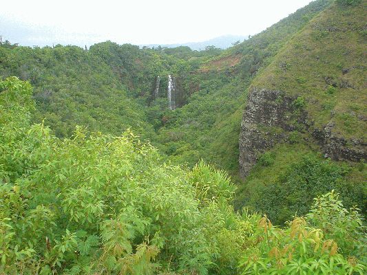 Opaeka'a Falls
KAWAII - August 19- September 3
