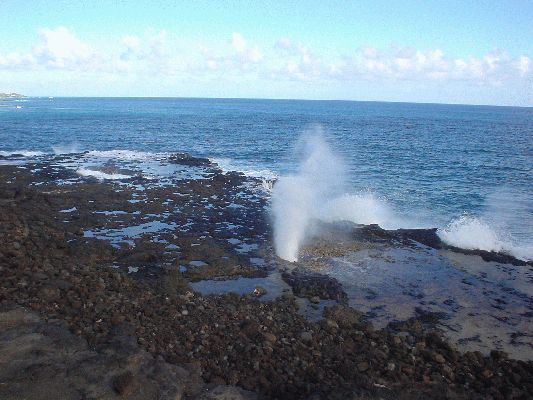 Blow Hole
KAWAII - August 19- September 3

