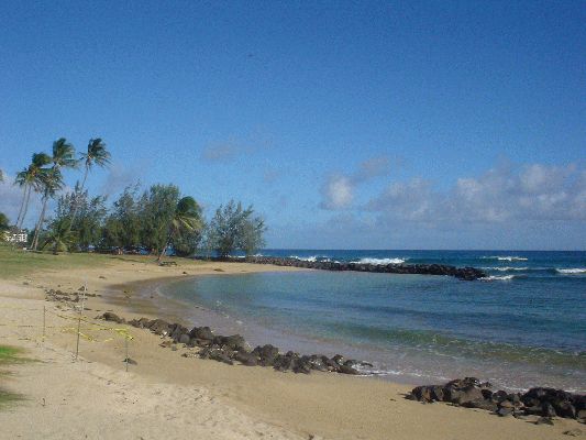 Monk Seal on Po'ipu beach
KAWAII - August 19- September 3
