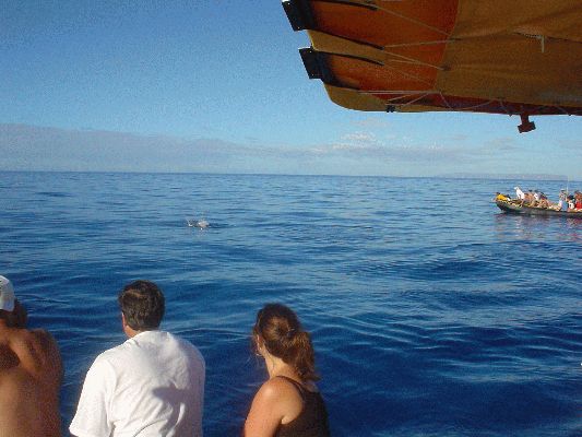 Na Pali Explorer boat tour
KAWAII - August 19- September 3
