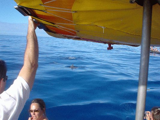 Na Pali Explorer boat tour
KAWAII - August 19- September 3

