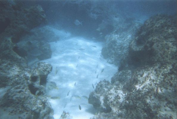 Na Pali Explorer boat tour
KAWAII - August 19- September 3
