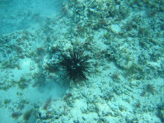 Na Pali Explorer boat tour
KAWAII - August 19- September 3
