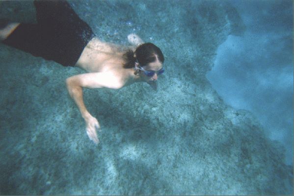 Na Pali Explorer boat tour
KAWAII - August 19- September 3
