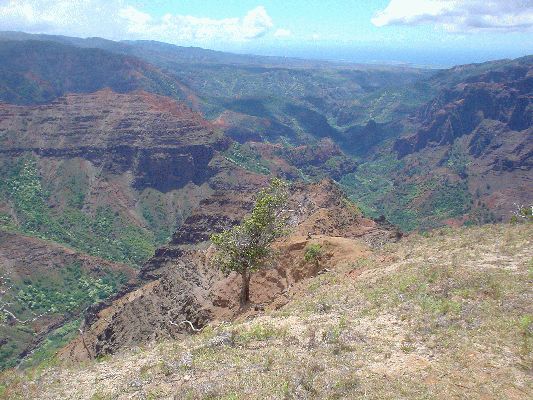 Waimea Canyon
KAWAII - August 19- September 3
