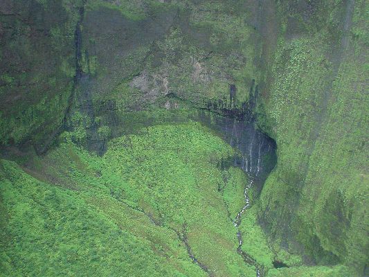 MT. Waialeala Crater (The Wettest Spot on Earth)
KAWAII - August 19- September 3
