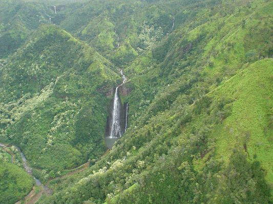 Jurassic Falls
KAWAII - August 19- September 3
