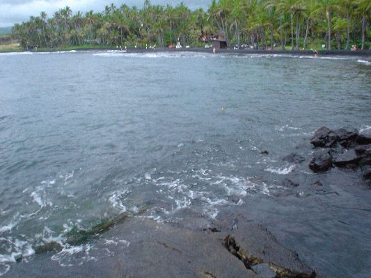 Turtle Beach - Sea turtle
The Big Island - August 19- September 3
