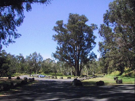 Volcano National Park Campsite
The Big Island - August 19- September 3
