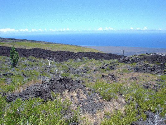Lava
The Big Island - August 19- September 3
