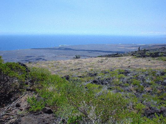 Lava
The Big Island - August 19- September 3
