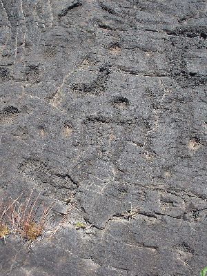 Petroglyphs
The Big Island - August 19- September 3
