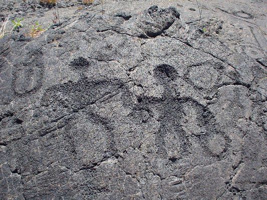 Petroglyphs
The Big Island - August 19- September 3
