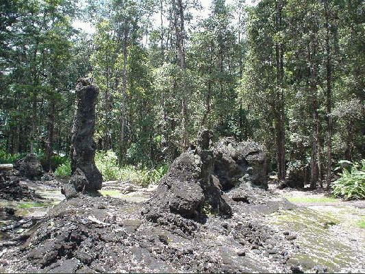 Lava Trees
The Big Island - August 19- September 3

