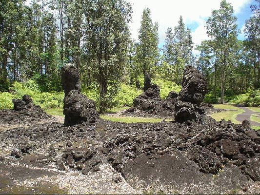 Lava Trees
The Big Island - August 19- September 3
