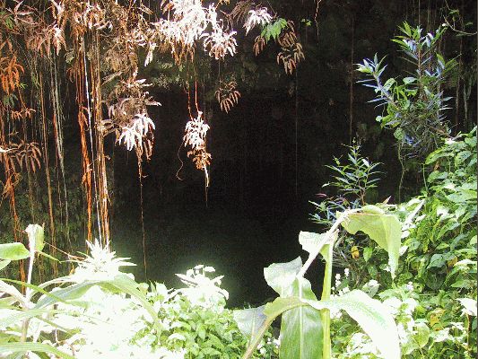 cave
The Big Island - August 19- September 3
