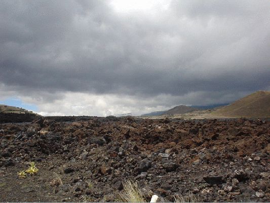 Between 2 volcano's
The Big Island - August 19- September 3
