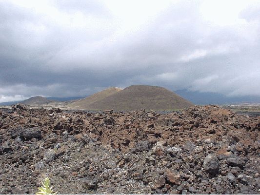 Between 2 volcano's
The Big Island - August 19- September 3
