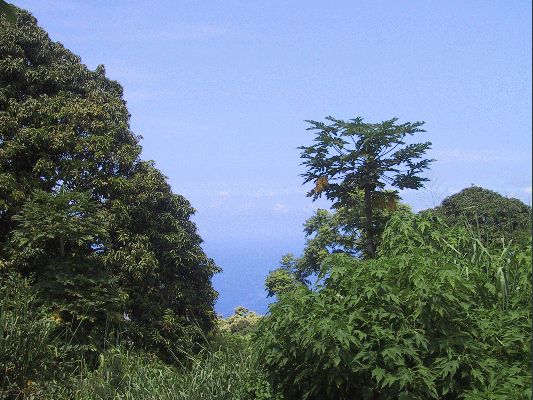 Going to the Captain cook Monument
The Big Island - August 19- September 3
