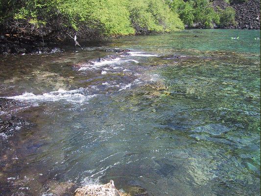 snorkling at the Captain cook Monument
The Big Island - August 19- September 3
