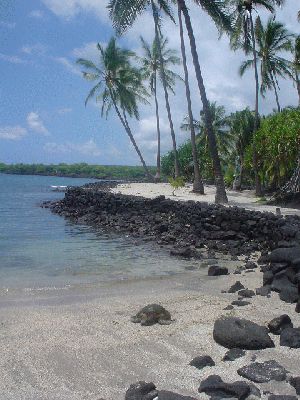 Sea Turtle in Pu'uhonua O Hanaunau National Historical Park
The Big Island - August 19- September 3
