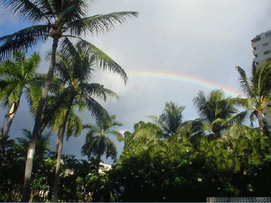 Rainbow from Hotel
OAHU - August 19- September 3
