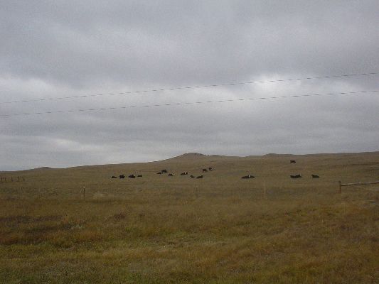 The Prairie in South Dakota
